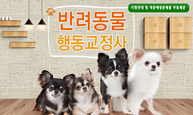 반려동물행동교정사 – 자격제한없이 누구나 자격취득